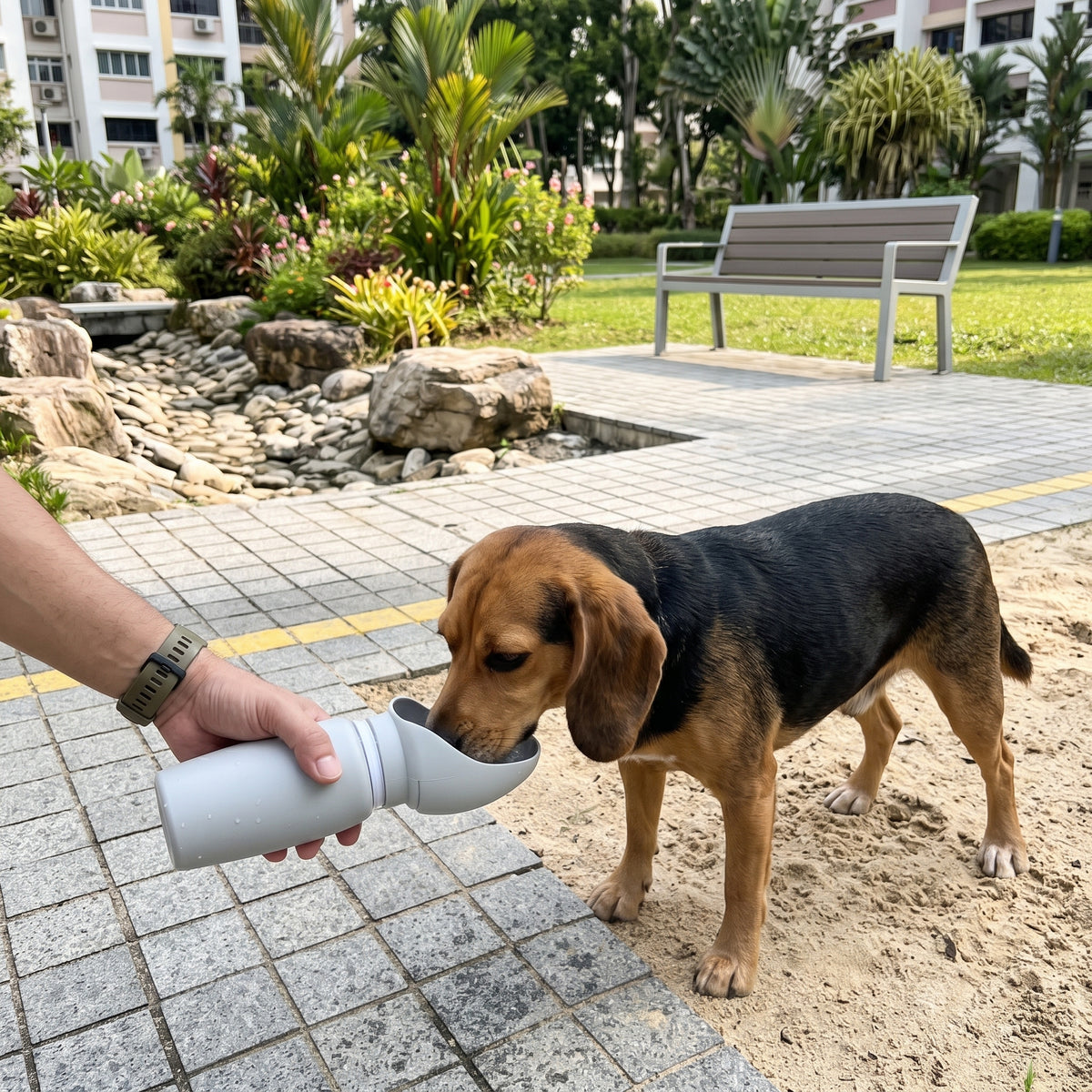 Portable Collapsible Pet Water Bottle