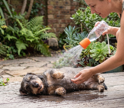 Portable Silicone Pet Shower Head Cap