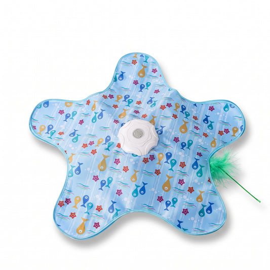 Interactive Hide and Seek Cat Toy