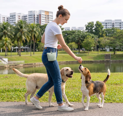 Portable Silicone Dog Treat Pouch