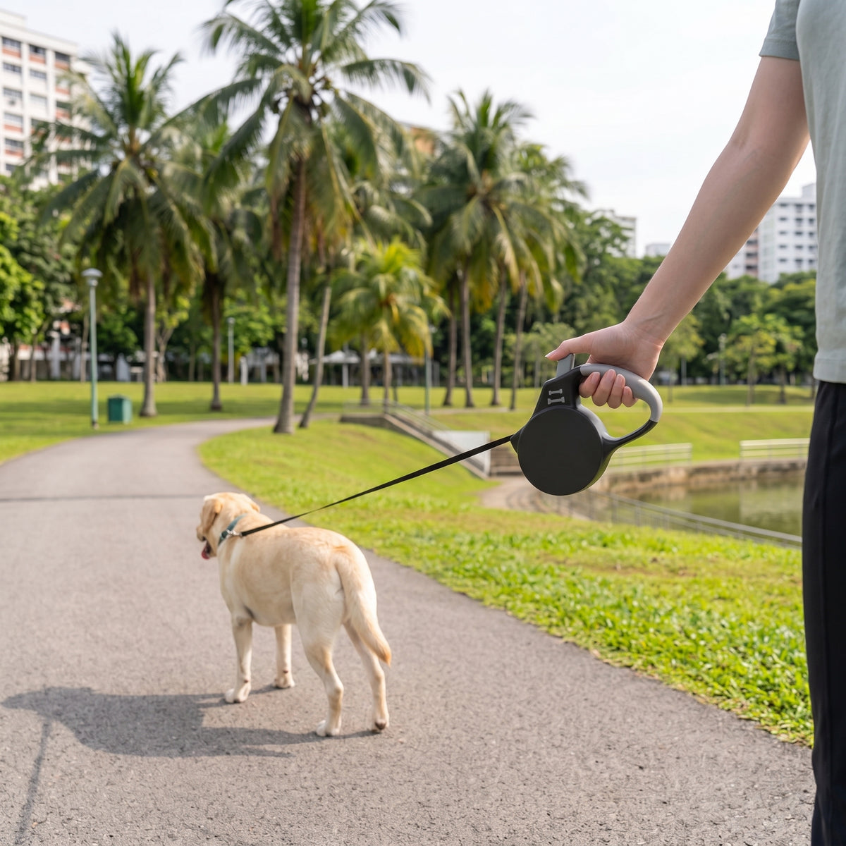 Automatic Retractable Dog Leash