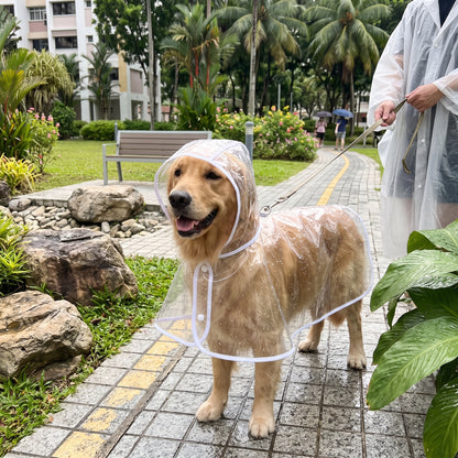 Transparent Waterproof Dog Raincoat