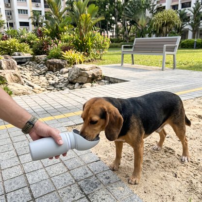 Portable Collapsible Pet Water Bottle
